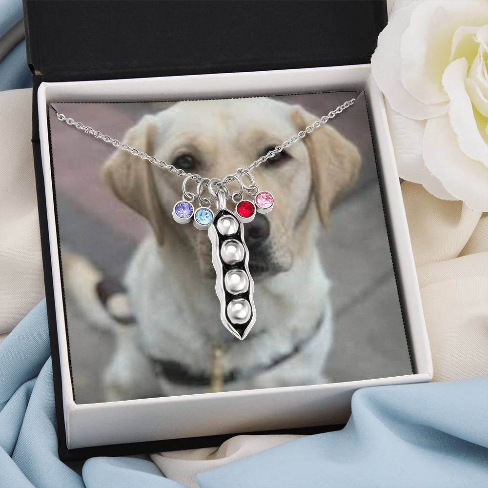 1341 Aleks Test CF 1st bs + class added to avoid error on vendor-shineon.js