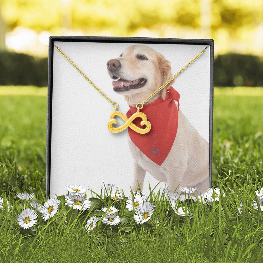 2852 PT795 Aleks Test Option2