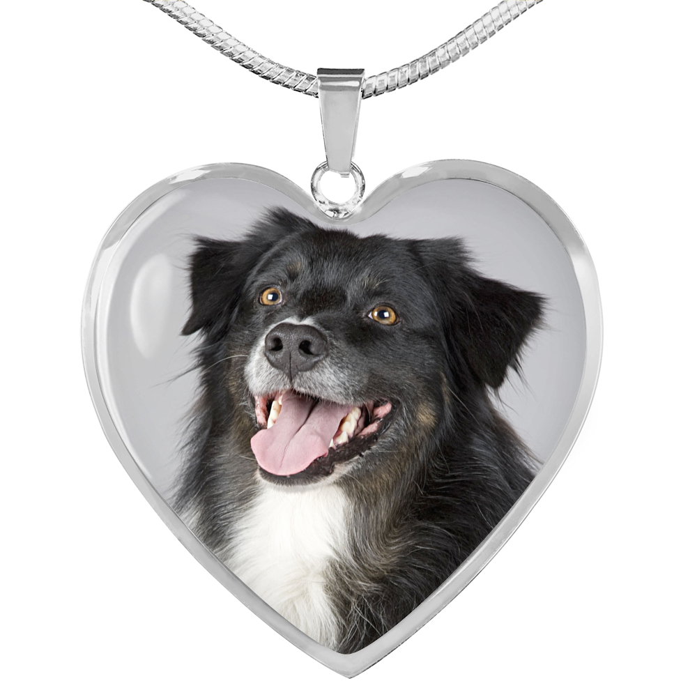Dog Necklace - Pandoras Box