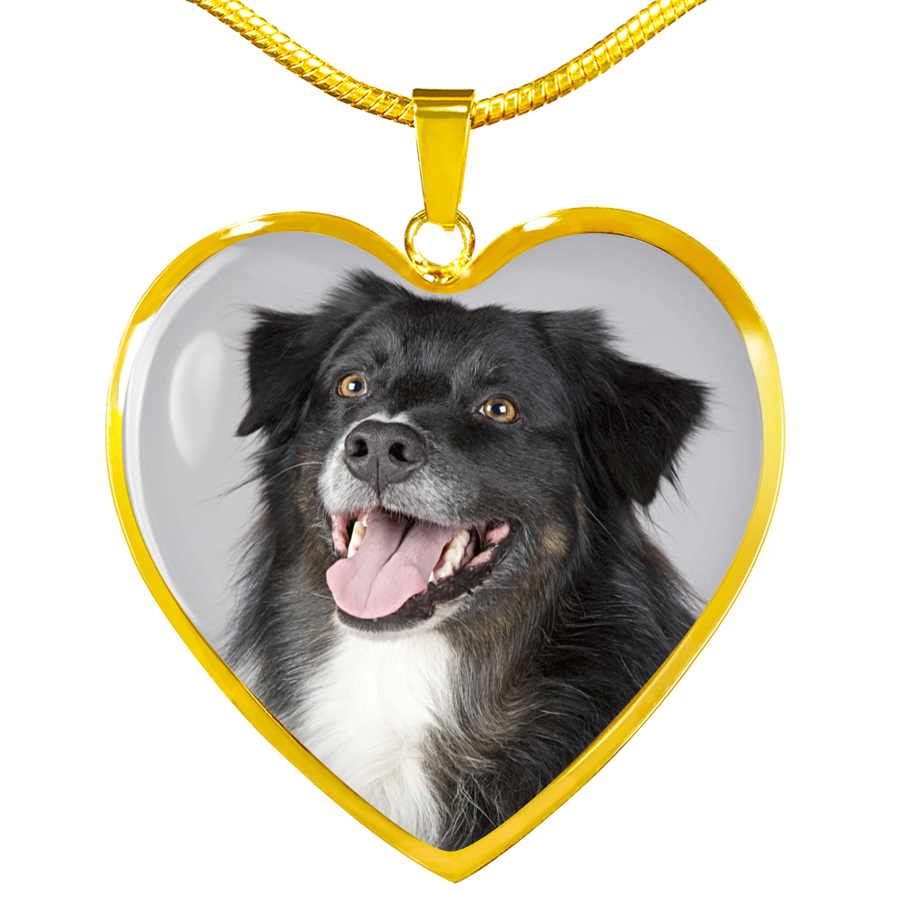 Dog Necklace - Pandoras Box