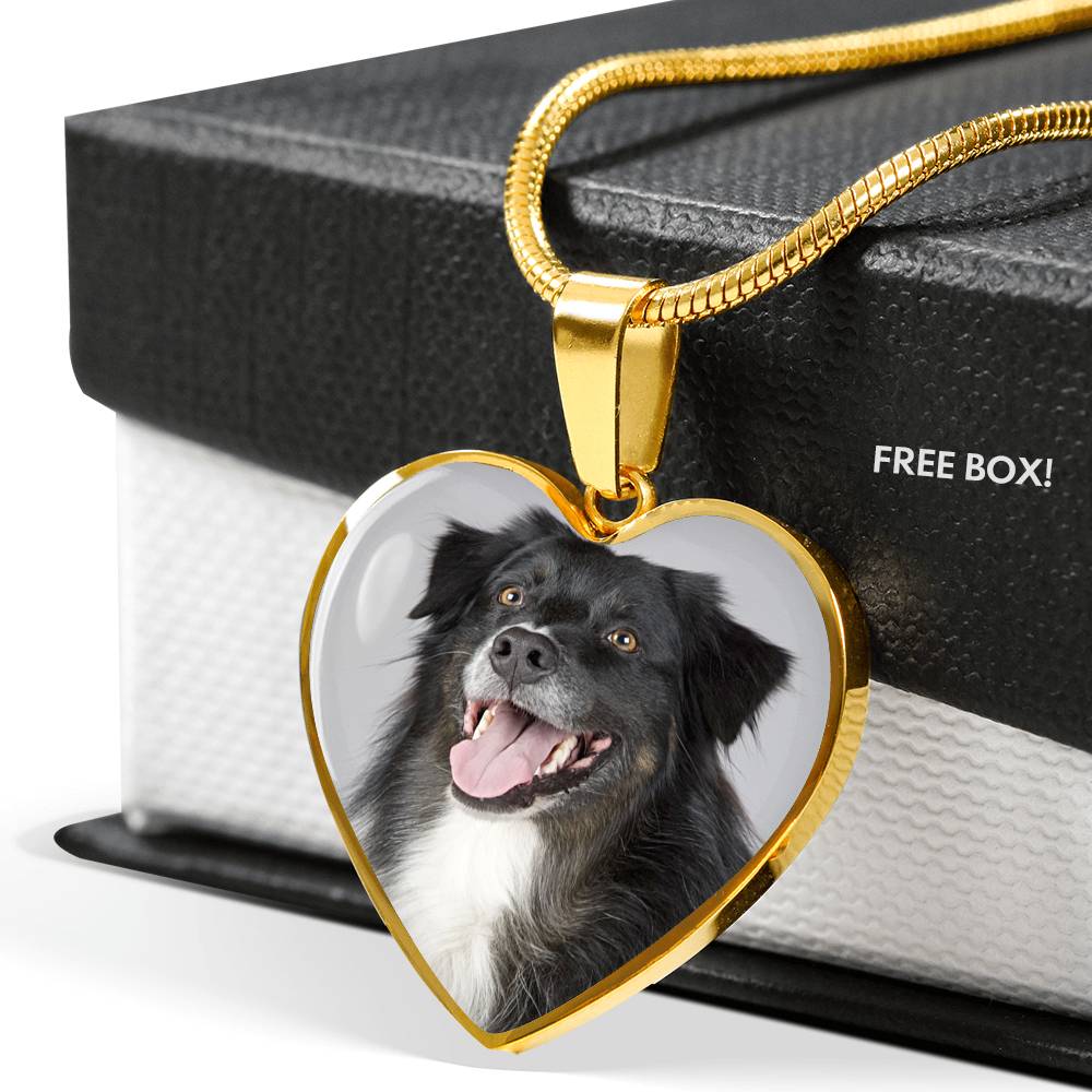 Dog Necklace - Pandoras Box