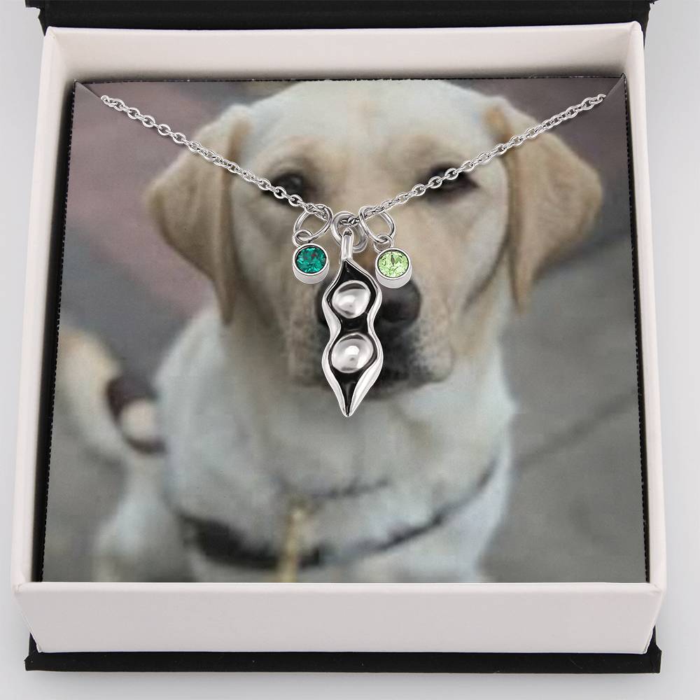 1341 Aleks Test CF 1st bs + class added to avoid error on vendor-shineon.js