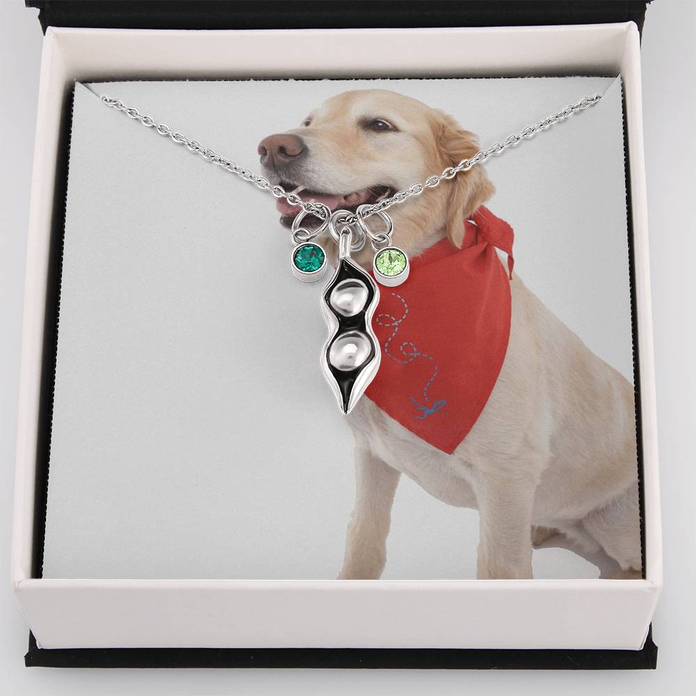 1341 Aleks Test CF all custom