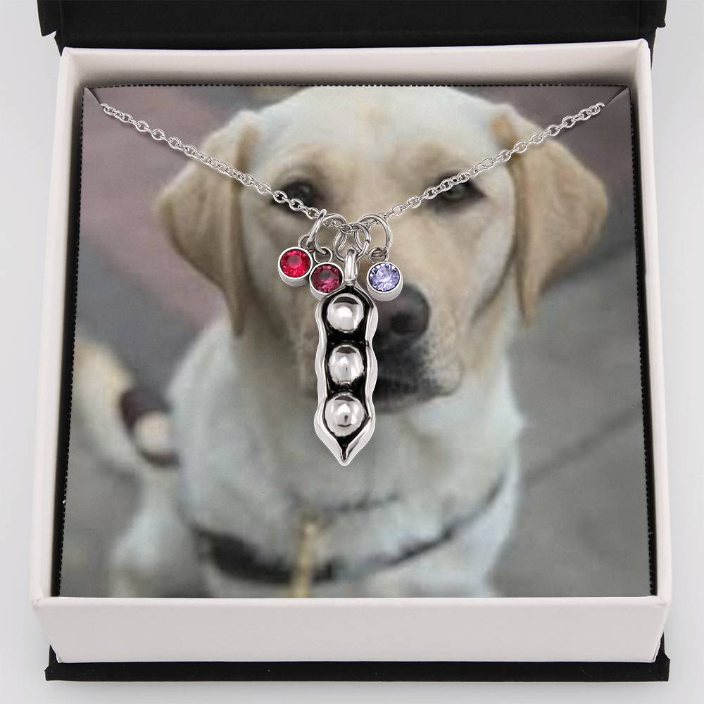 1341 Aleks Test CF 1st bs + class added to avoid error on vendor-shineon.js