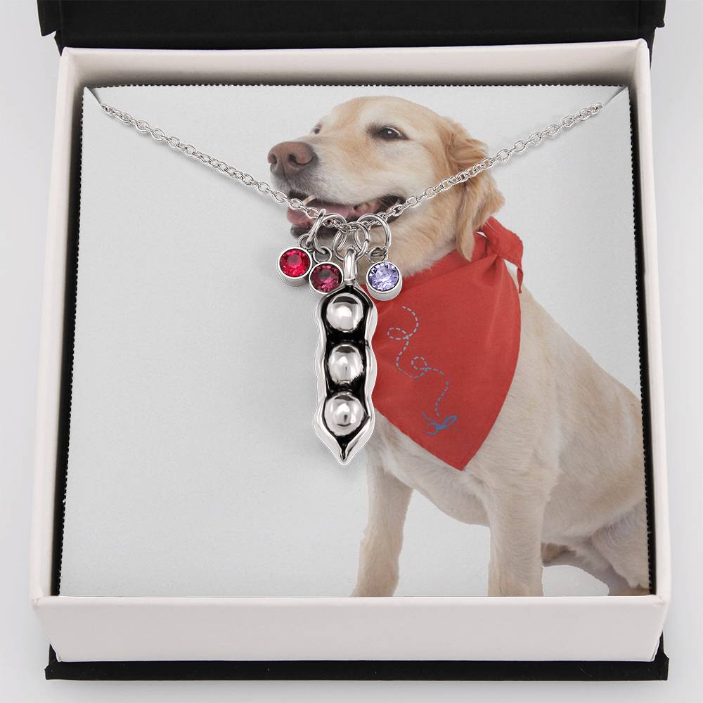 1341 Aleks Test CF all custom