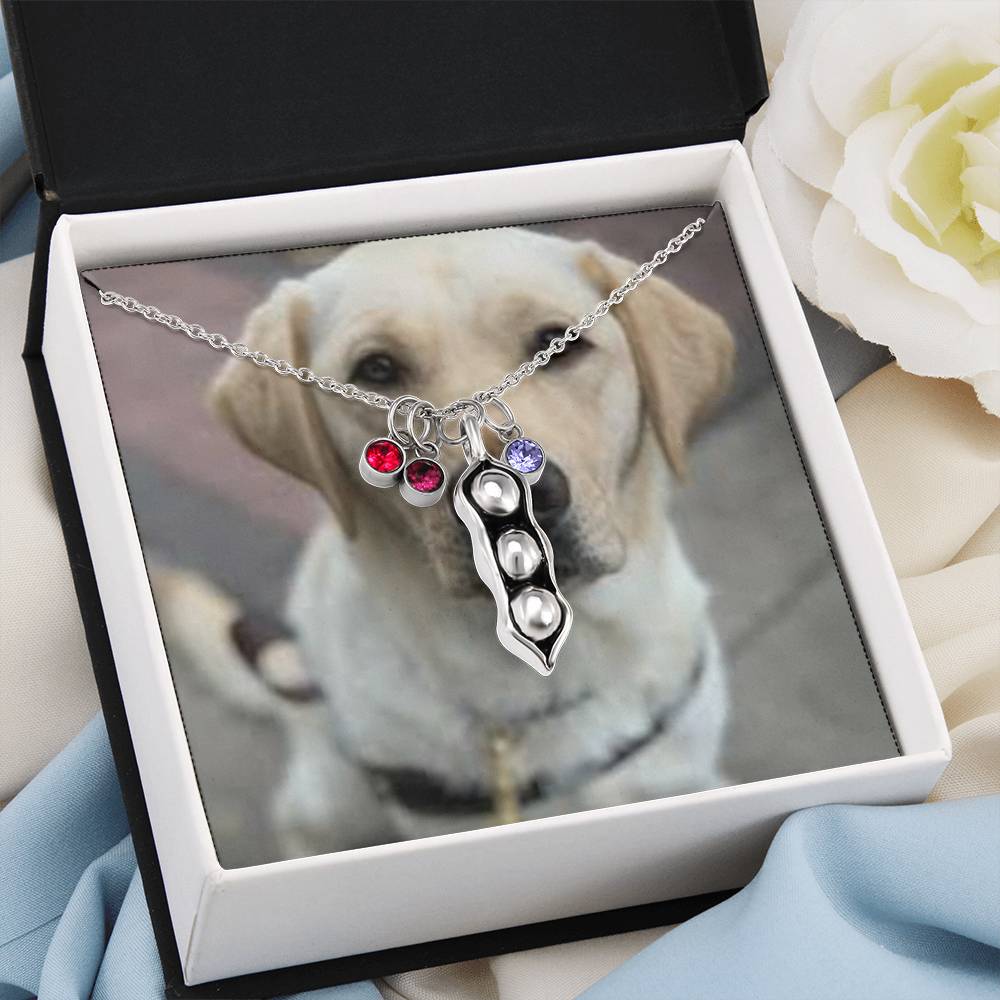 1341 Aleks Test CF 1st bs + class added to avoid error on vendor-shineon.js