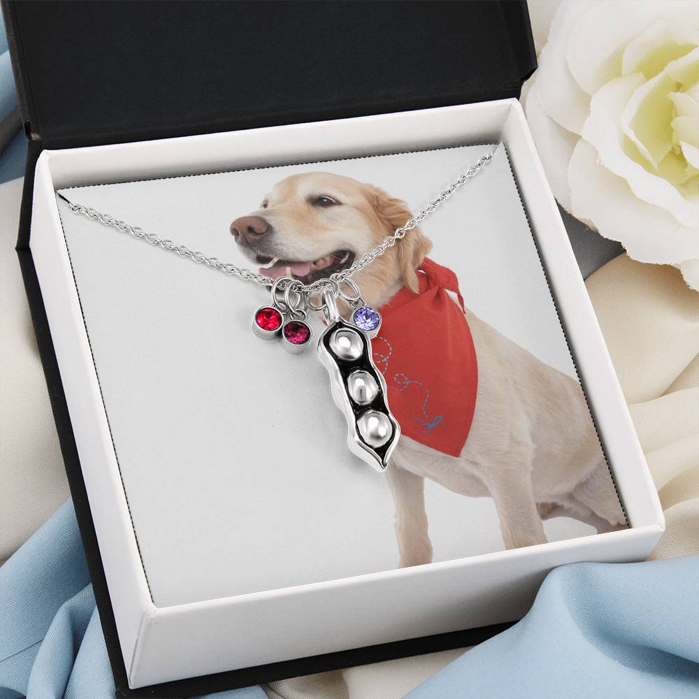 1341 Aleks Test CF all custom