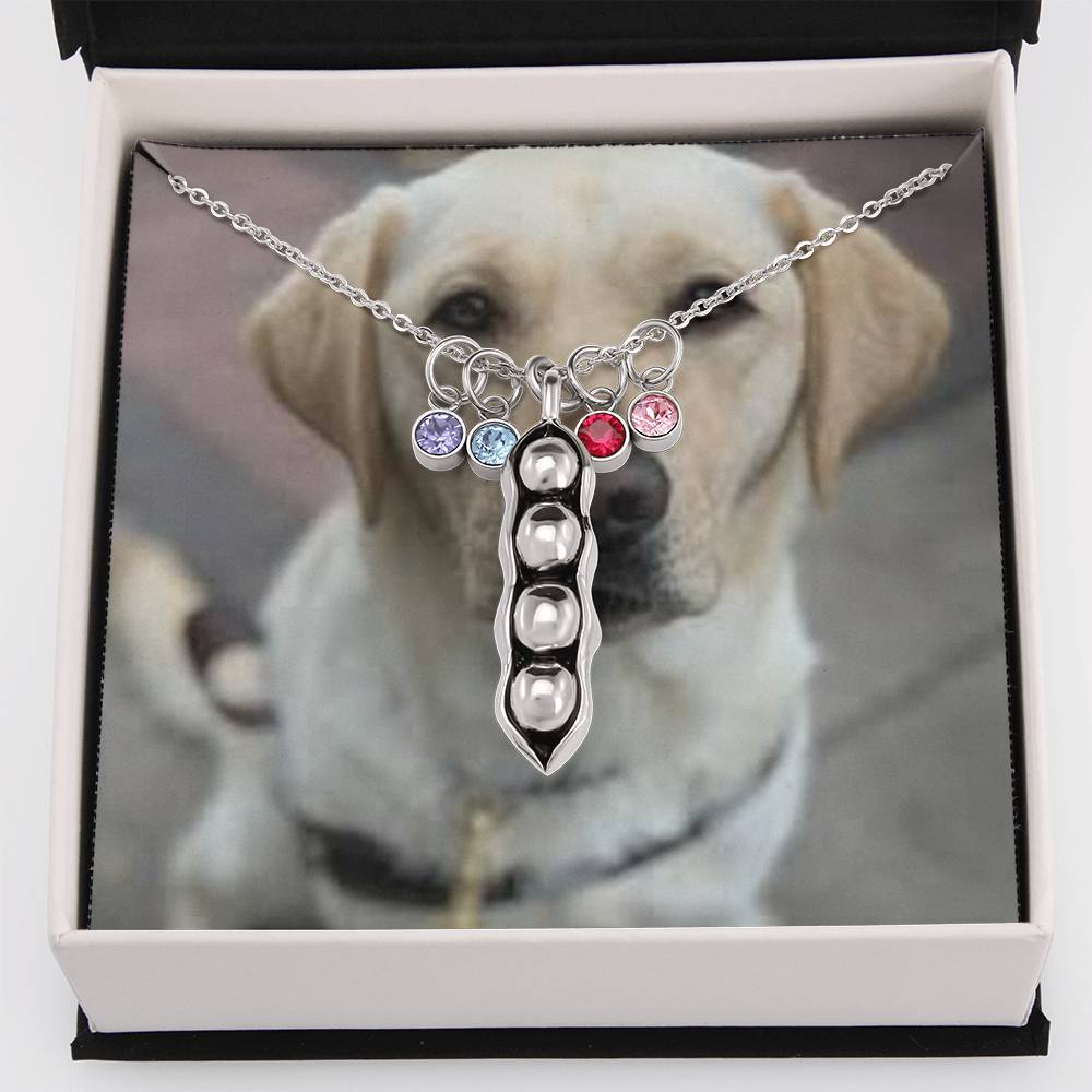 1341 Aleks Test CF 1st bs + class added to avoid error on vendor-shineon.js