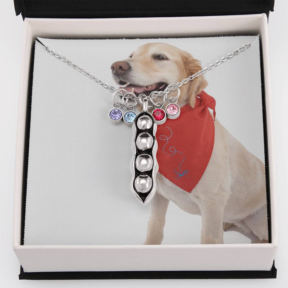 1341 Aleks Test CF all custom