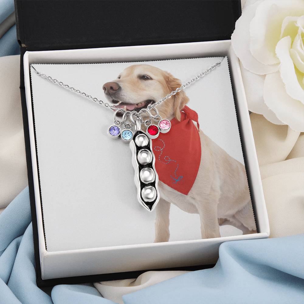 1341 Aleks Test CF all custom