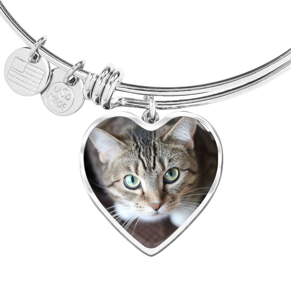 Cat Bangle - Pandoras Box
