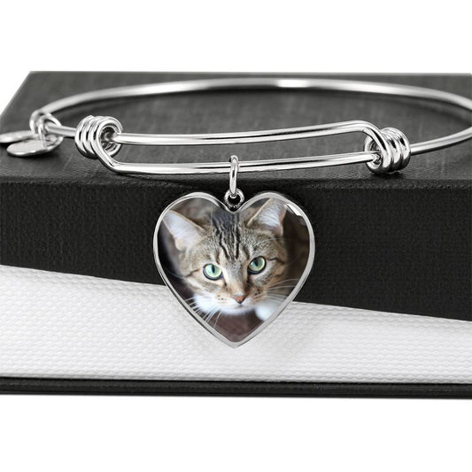Cat Bangle - Pandoras Box