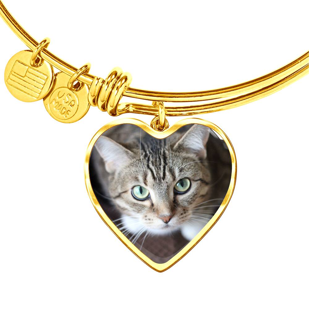 Cat Bangle - Pandoras Box