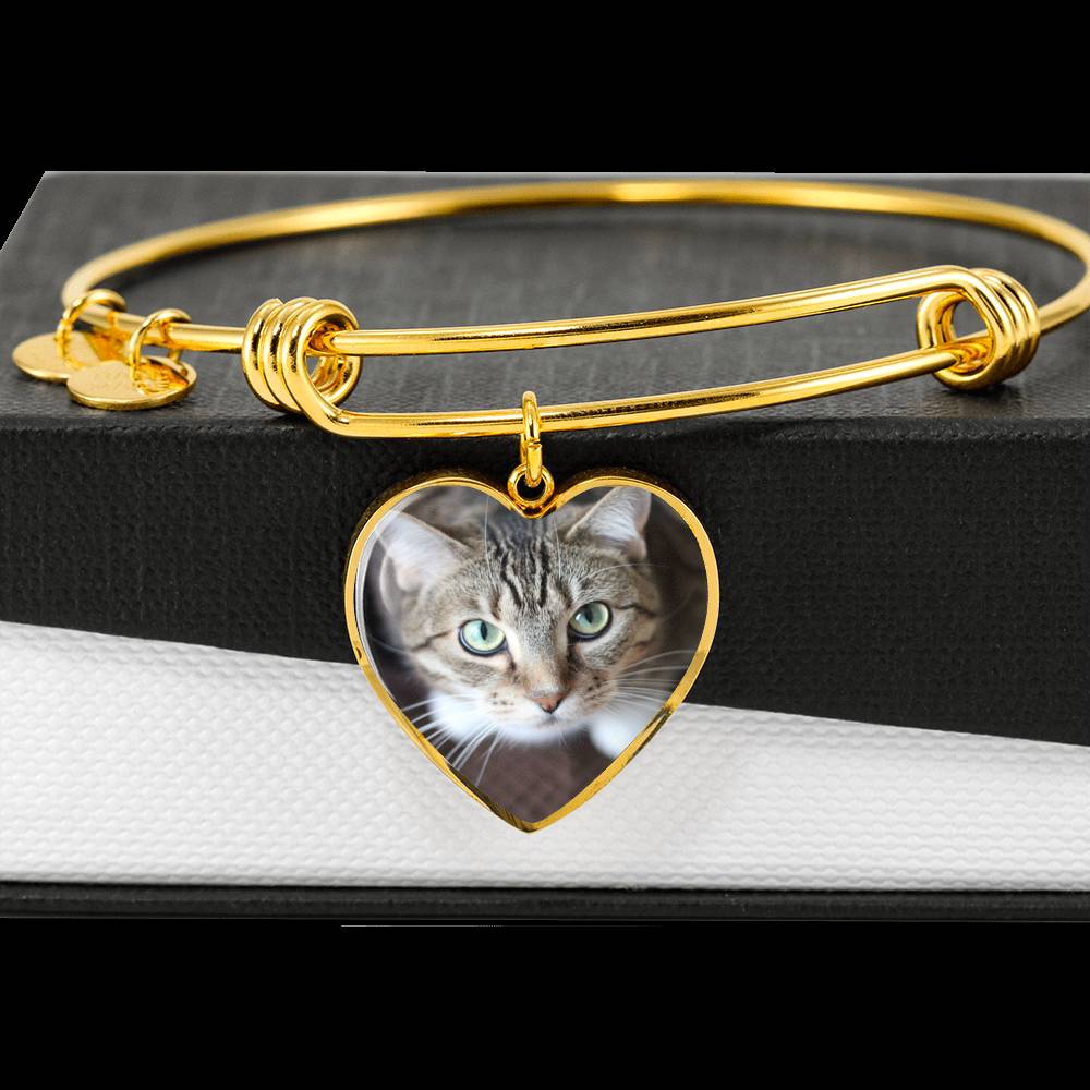 Cat Bangle - Pandoras Box