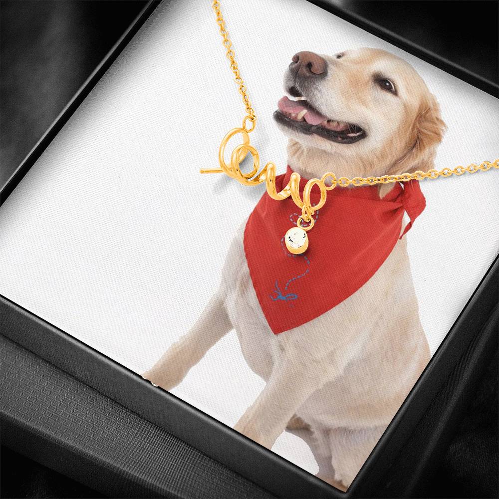 2852 PT772 Aleks Test Option2 + Box