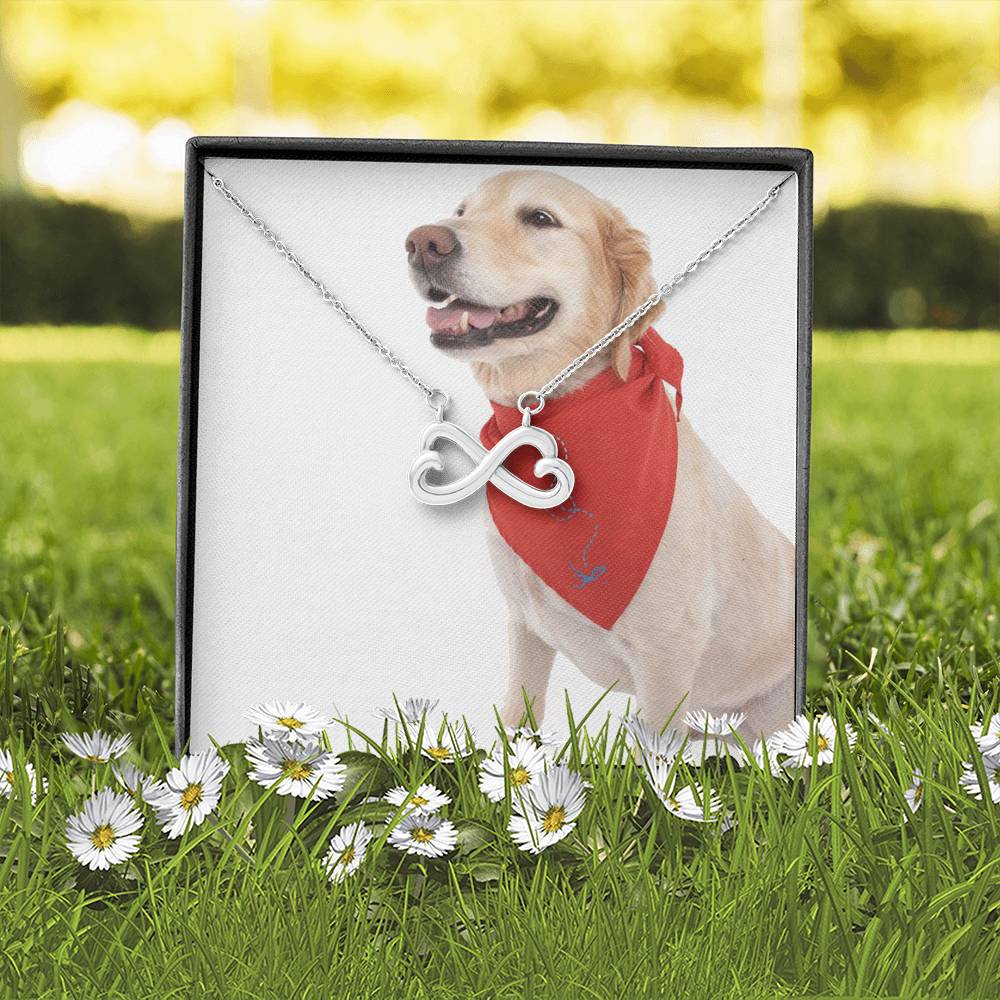 2852 PT795 Aleks Test Option2