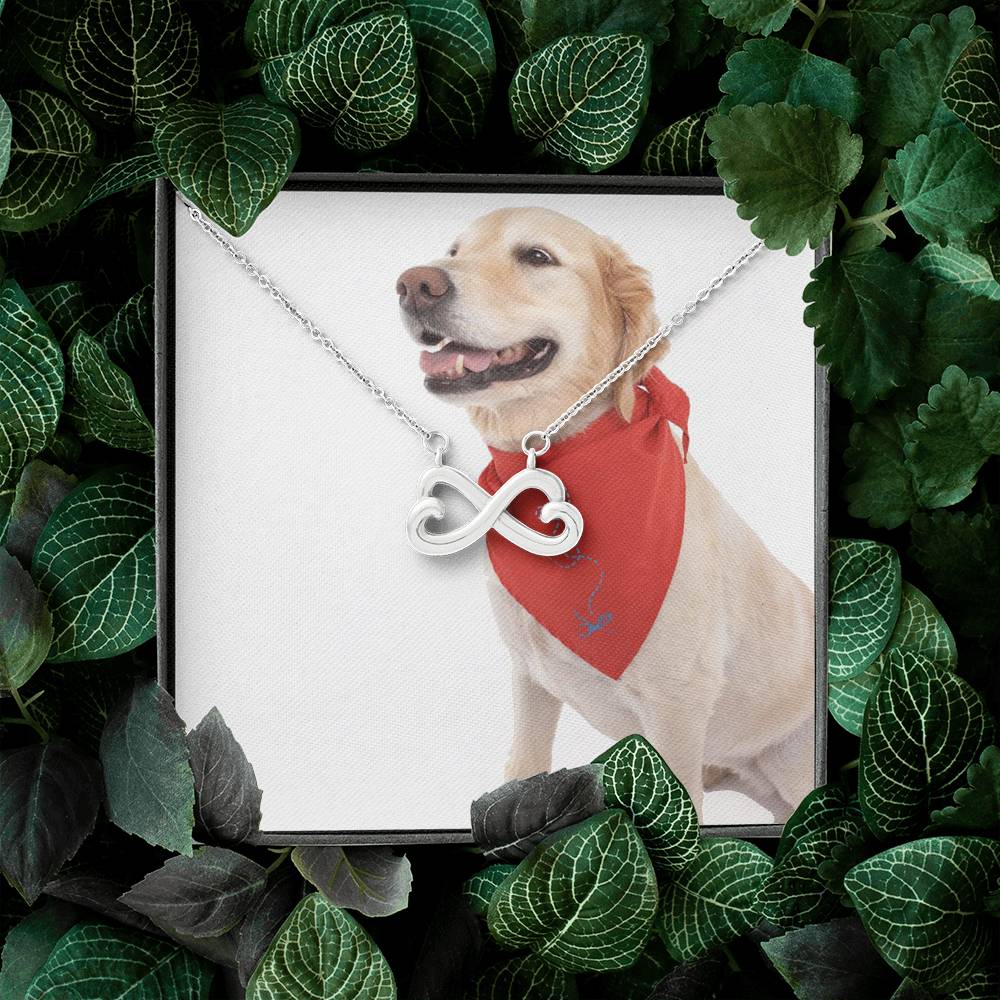 2852 PT795 Aleks Test Option2