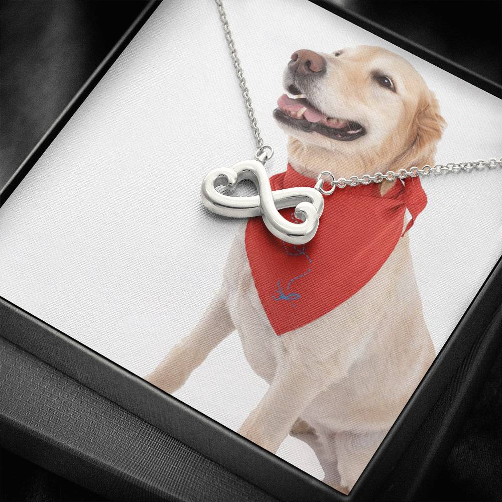 2852 PT795 Aleks Test Option2