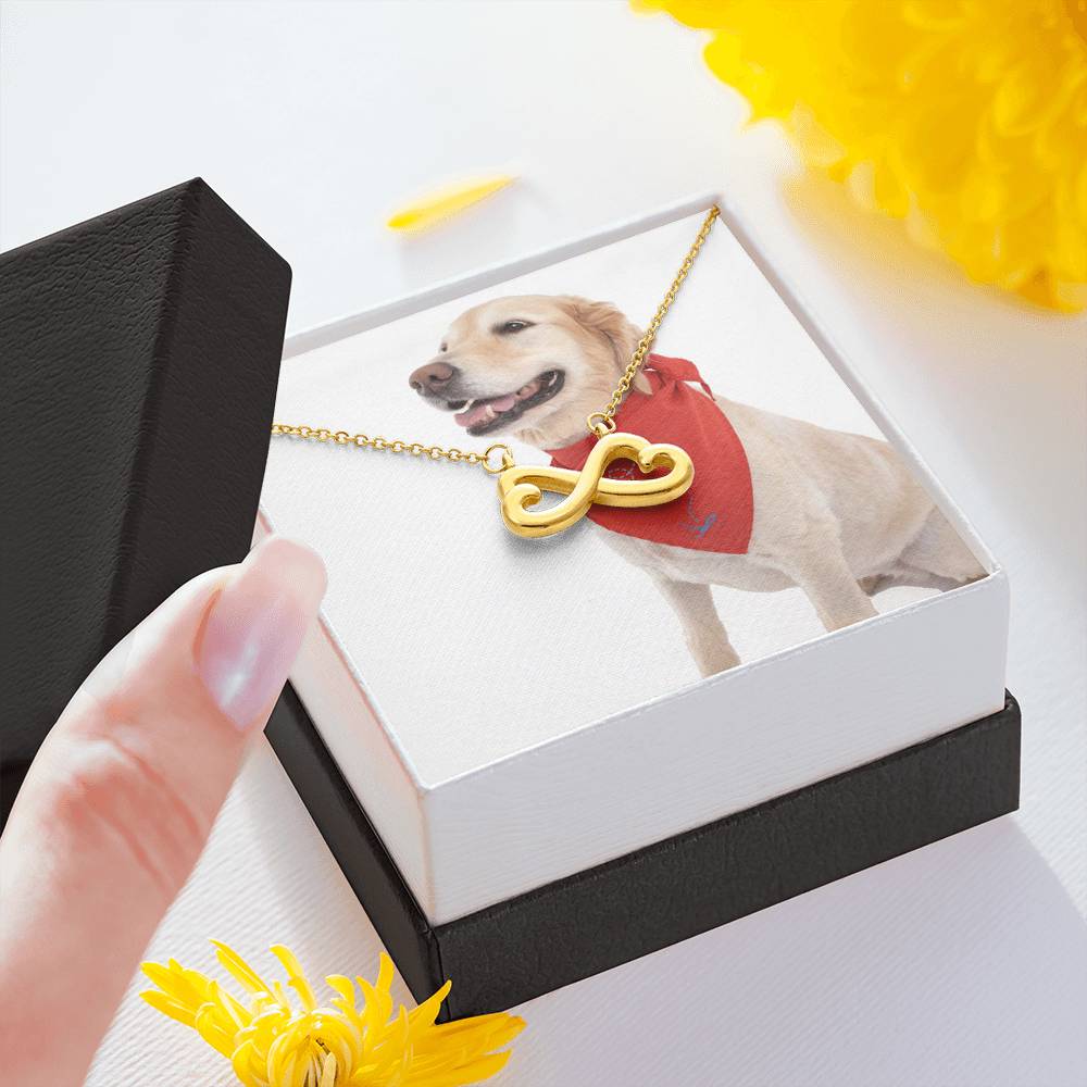 2852 PT795 Aleks Test Option2