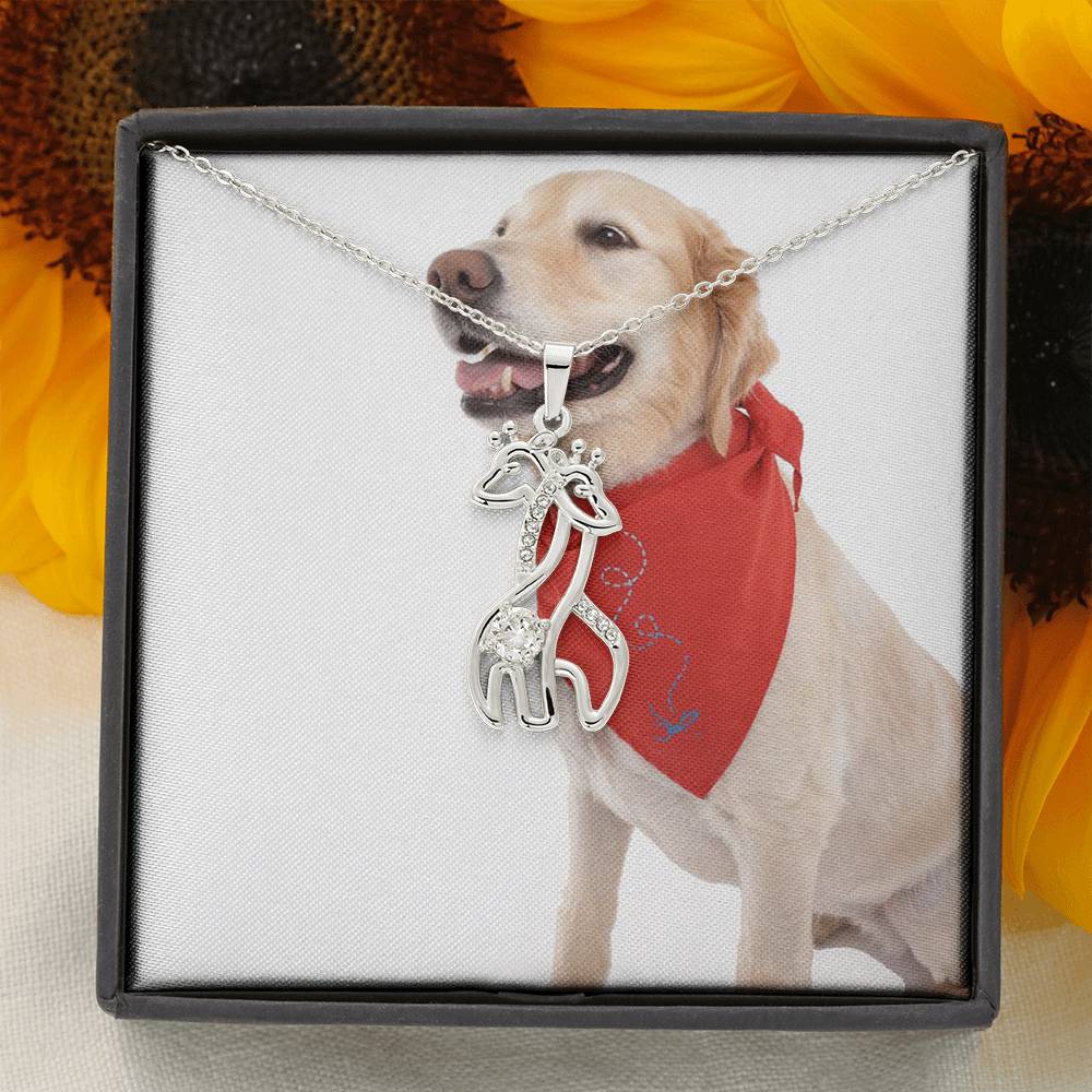 3000 PT969 Aleks Test